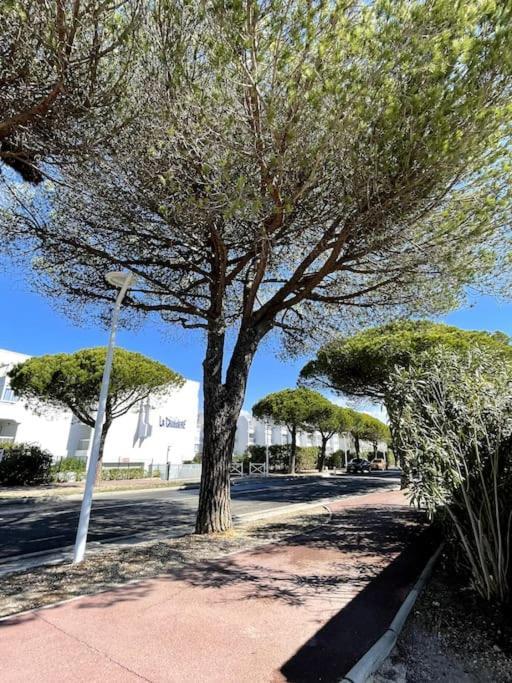 Joli - Port Camargue - Sud *